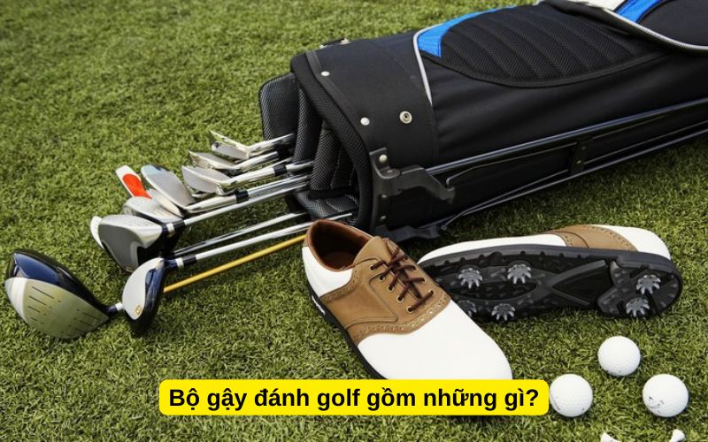 Bộ gậy đánh golf gồm những gì