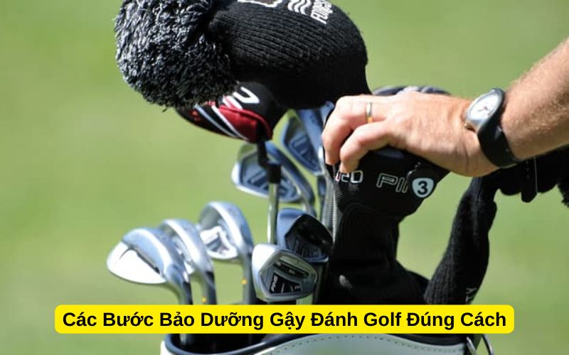 Các Bước Bảo Dưỡng Gậy Đánh Golf Đúng Cách