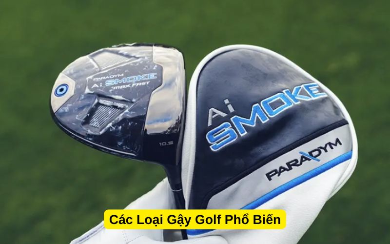 Các Loại Gậy Golf Phổ Biến