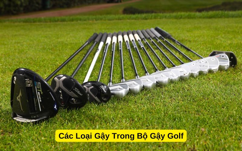 Các Loại Gậy Trong Bộ Gậy Golf