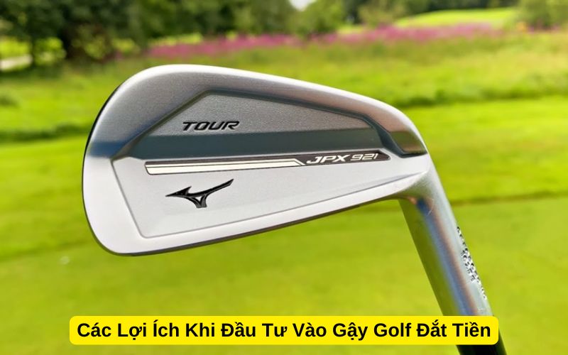 Các Lợi Ích Khi Đầu Tư Vào Gậy Golf Đắt Tiền