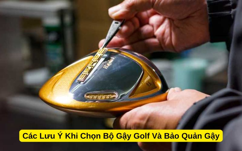 Các Lưu Ý Khi Chọn Bộ Gậy Golf Và Bảo Quản Gậy