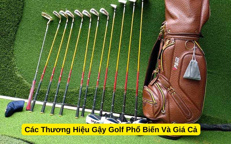 Các Thương Hiệu Gậy Golf Phổ Biến Và Giá Cả