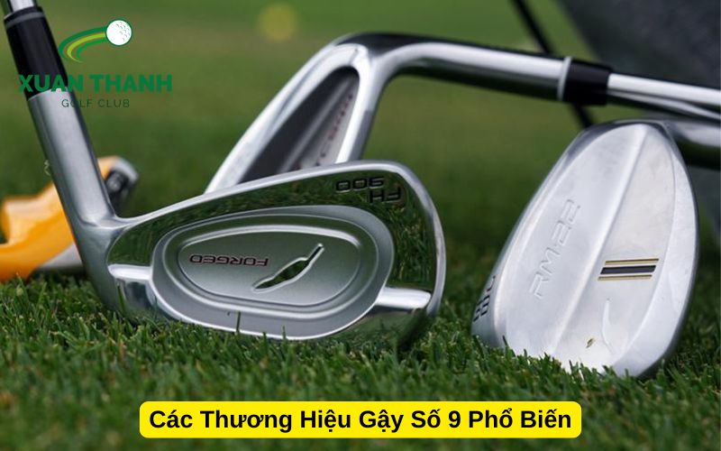 Các Thương Hiệu Gậy Số 9 Phổ Biến