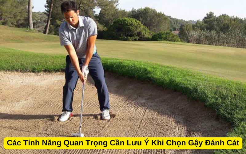 Các Tính Năng Quan Trọng Cần Lưu Ý Khi Chọn Gậy Đánh Cát