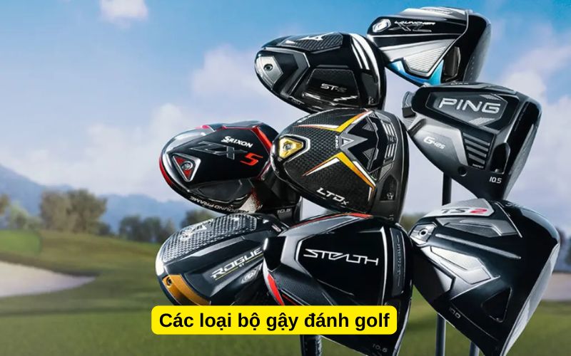 Các loại bộ gậy đánh golf