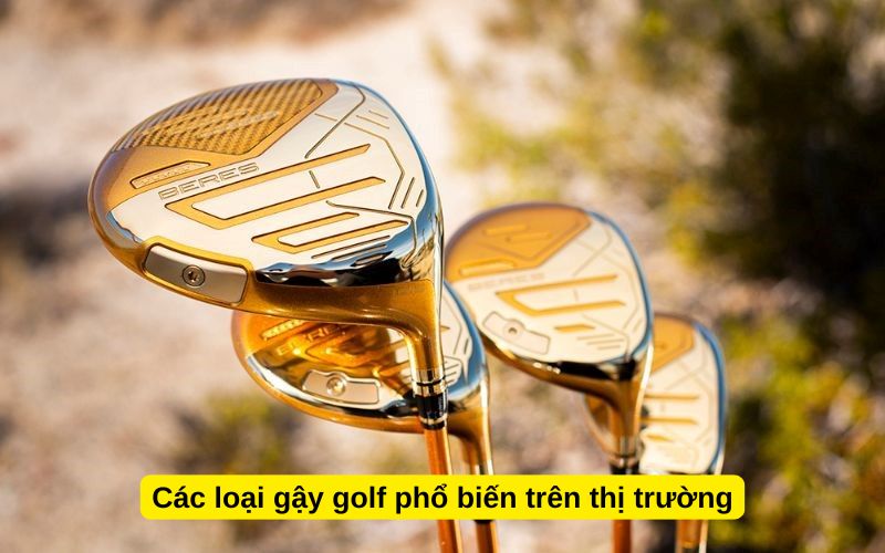 Các loại gậy golf phổ biến trên thị trường