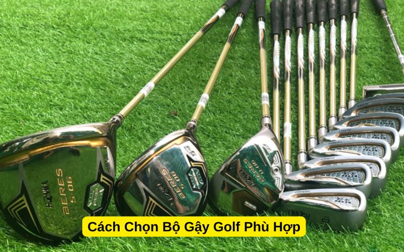 Cách Chọn Bộ Gậy Golf Phù Hợp