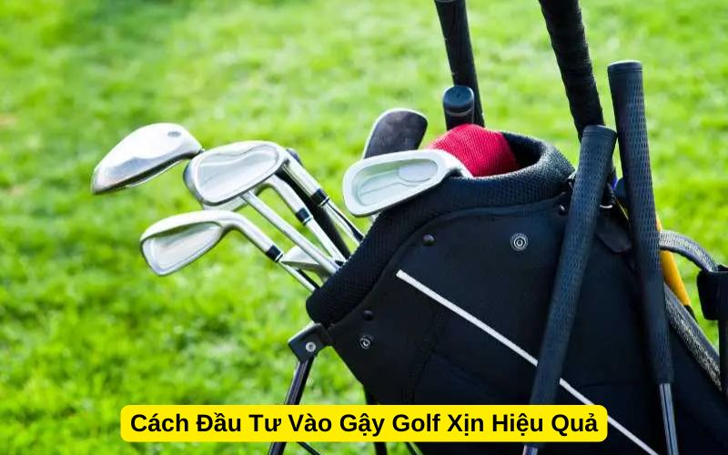 Cách Đầu Tư Vào Gậy Golf Xịn Hiệu Quả