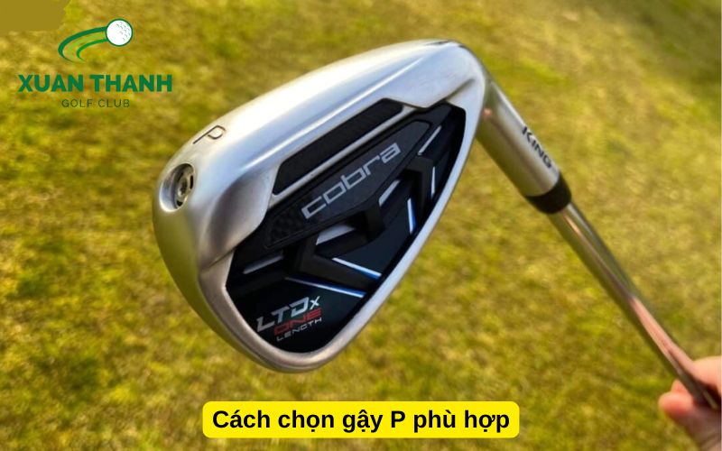 Cách chọn gậy P phù hợp