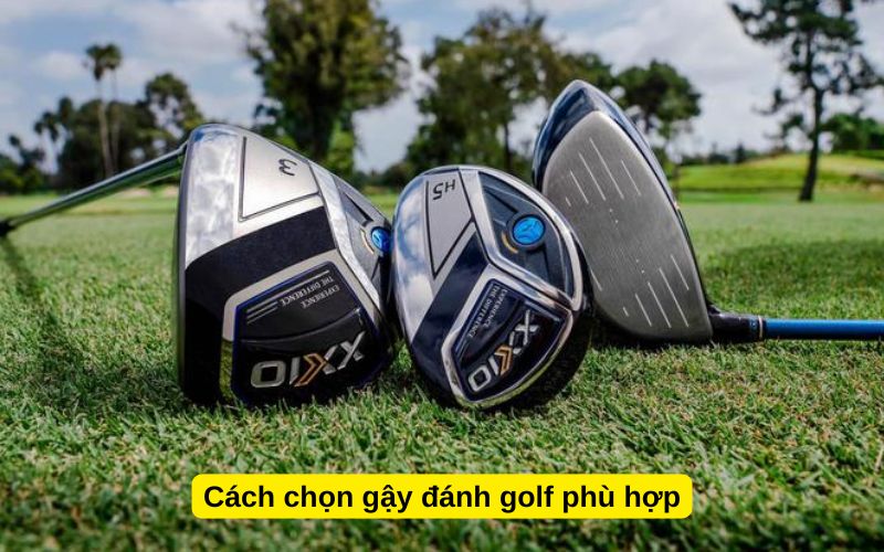 Cách chọn gậy đánh golf phù hợp