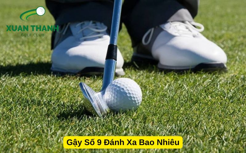 Gậy Số 9 Đánh Xa Bao Nhiêu