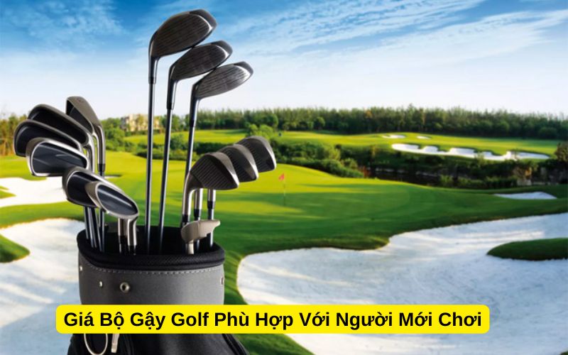 Giá Bộ Gậy Golf Phù Hợp Với Người Mới Chơi