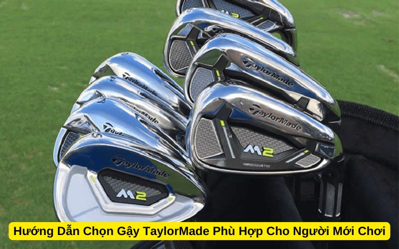 Hướng Dẫn Chọn Gậy TaylorMade Phù Hợp Cho Người Mới Chơi