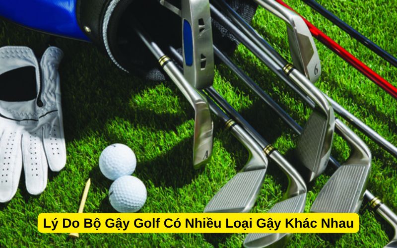 Lý Do Bộ Gậy Golf Có Nhiều Loại Gậy Khác Nhau