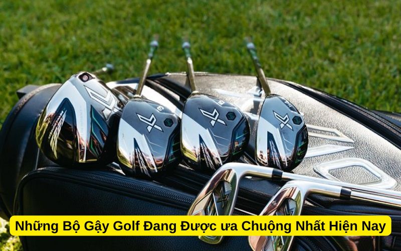 Những Bộ Gậy Golf Đang Được ưa Chuộng Nhất Hiện Nay