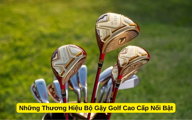 Những Thương Hiệu Bộ Gậy Golf Cao Cấp Nổi Bật