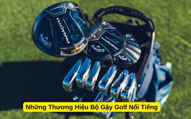 Những Thương Hiệu Bộ Gậy Golf Nổi Tiếng