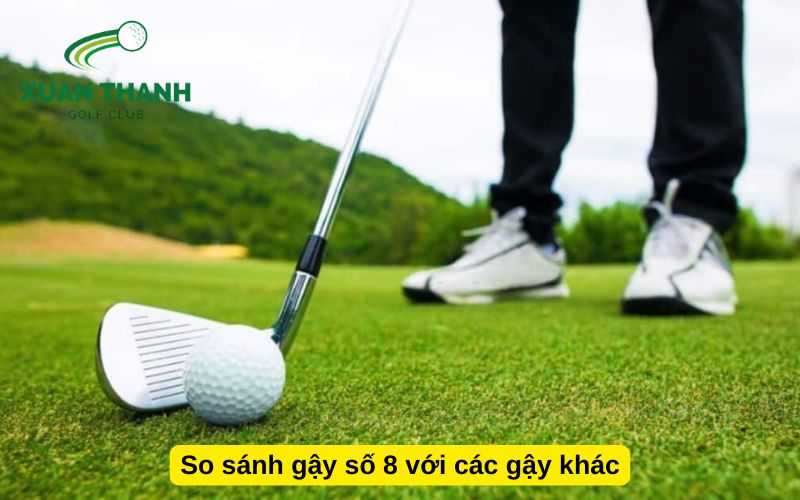 So sánh gậy số 8 với các gậy khác