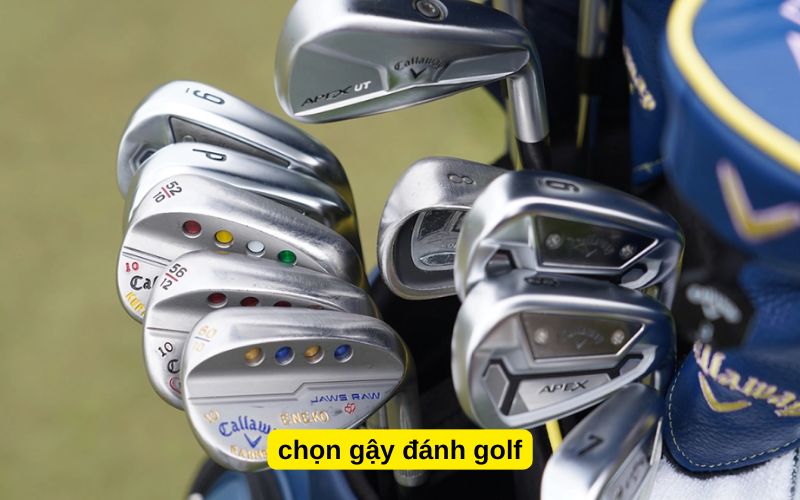 chọn gậy đánh golf