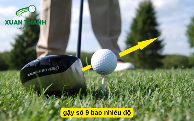 gậy số 9 bao nhiêu độ