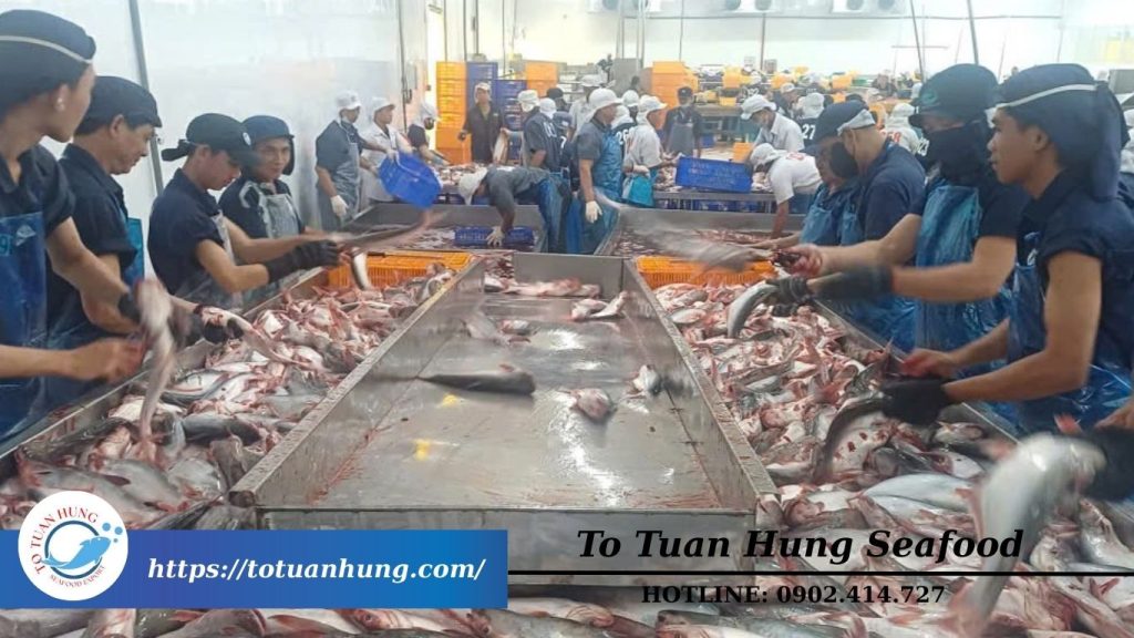 bao tử cá tươi ngon giá tốt