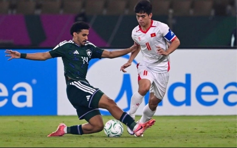 Câu chuyện về những "nhà tiên tri" động vật trong bóng đá