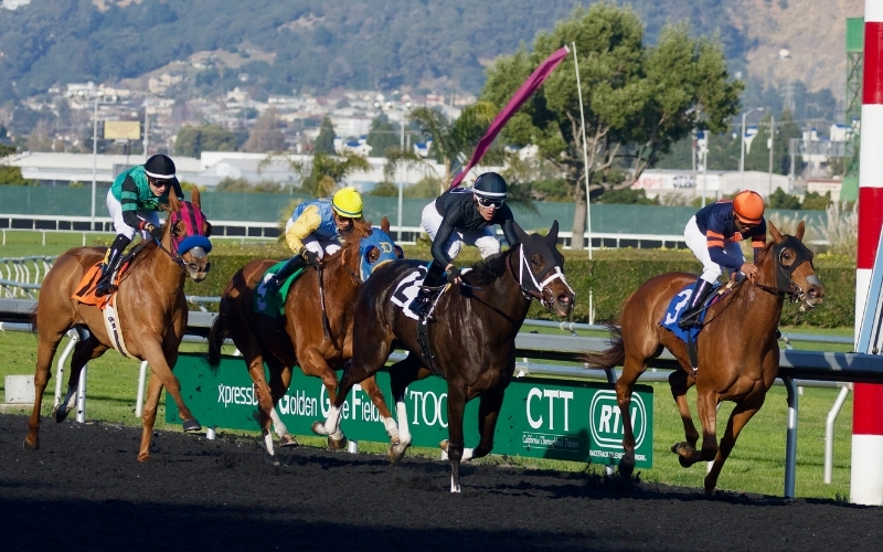 Lịch sử đua ngựa Sài Gòn