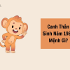 1980 tuổi gì: Giải mã vận mệnh, tử vi và phong thủy tuổi Canh Thân 2026