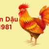 1981 tuổi gì: Giải mã vận mệnh, tử vi và phong thủy tuổi Tân Dậu 2026