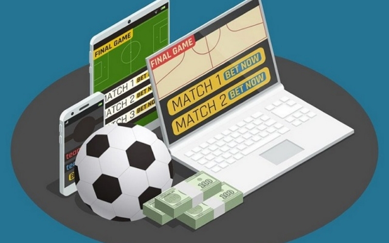 Chiến thuật tránh bẫy từ các chuyên gia