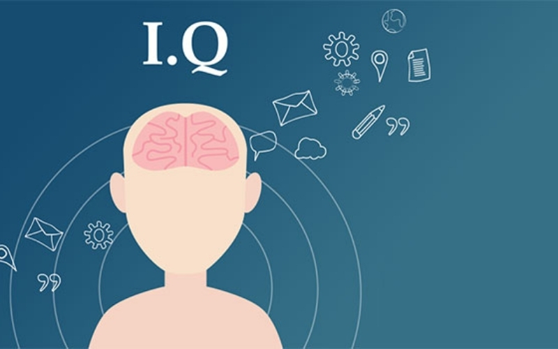 Những lầm tưởng về chỉ số IQ và thực tế con đường dẫn đến thành công